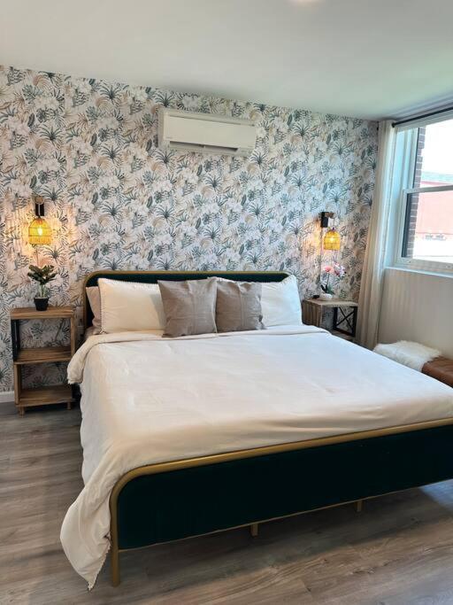Home Haven, Walk To Little Italy & Wooster Square ニューヘイブン エクステリア 写真